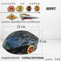 Берет (22*19*8, пироксенит Сопка Бунтина, 1779) арт:746